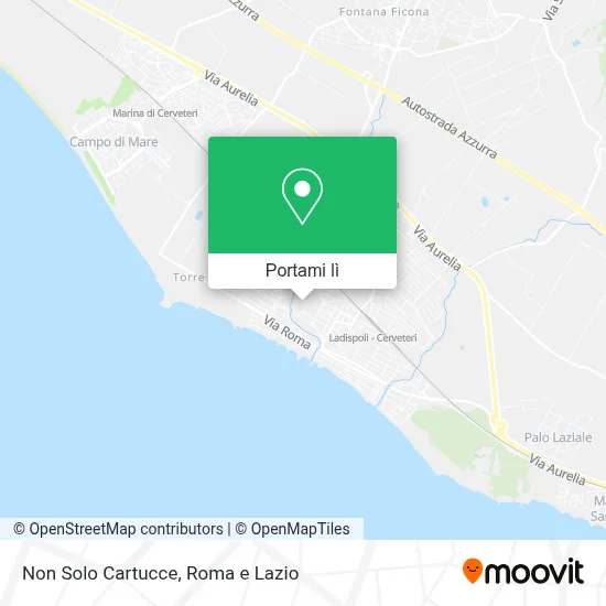 Mappa Non Solo Cartucce