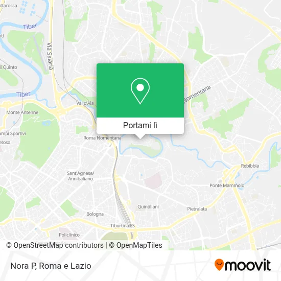 Mappa Nora P