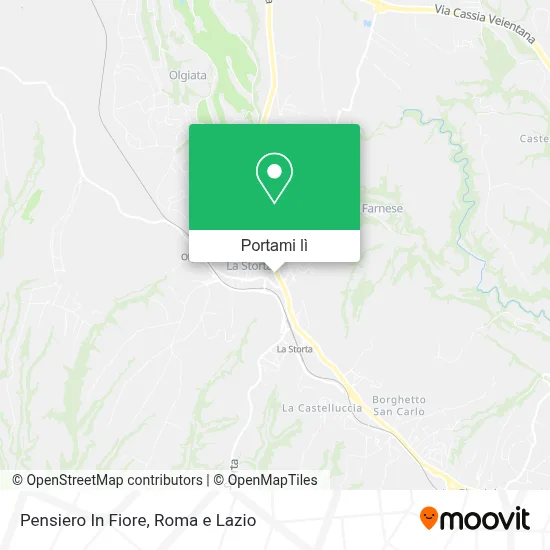 Mappa Pensiero In Fiore