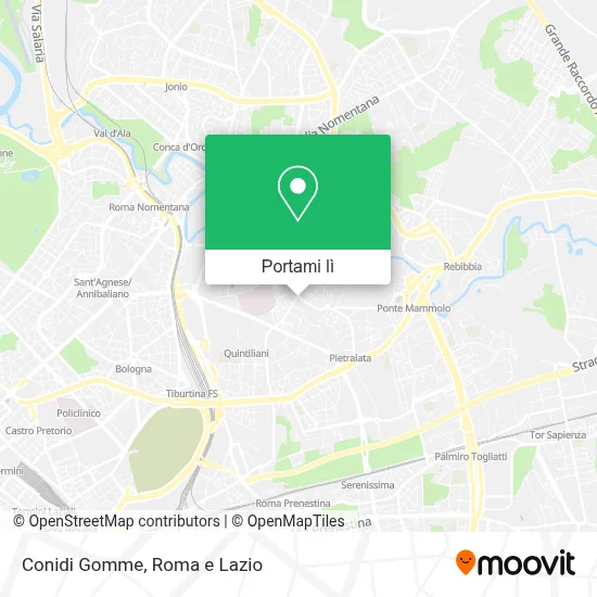Mappa Conidi Gomme
