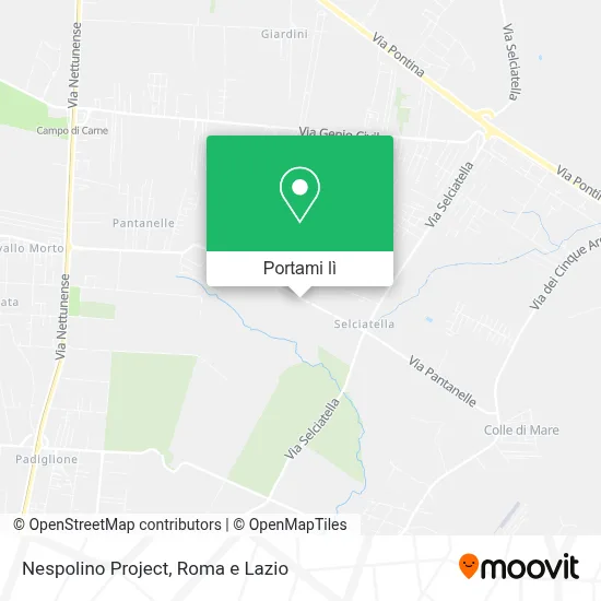 Mappa Nespolino Project