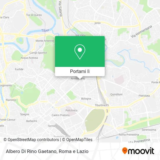 Mappa Albero Di Rino Gaetano