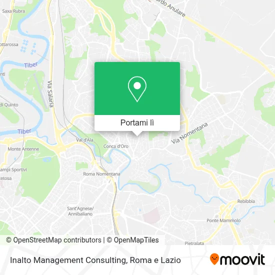 Mappa Inalto Management Consulting