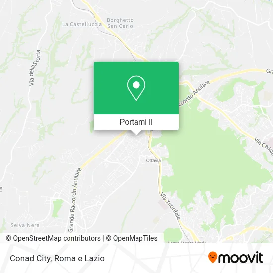 Mappa Conad City