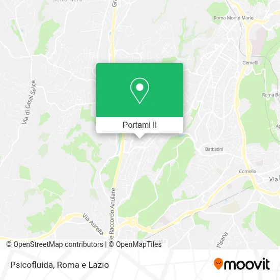 Mappa Psicofluida