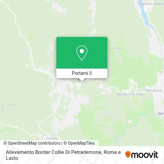 Mappa Allevamento Border Collie Di Petrademone