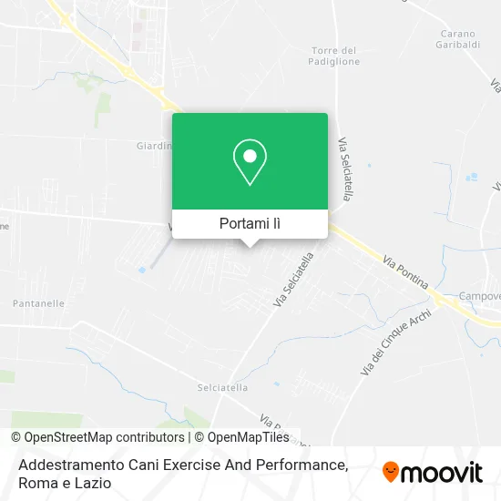 Mappa Addestramento Cani Exercise And Performance