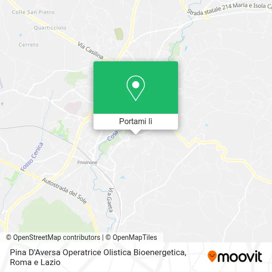 Mappa Pina D'Aversa Operatrice Olistica Bioenergetica