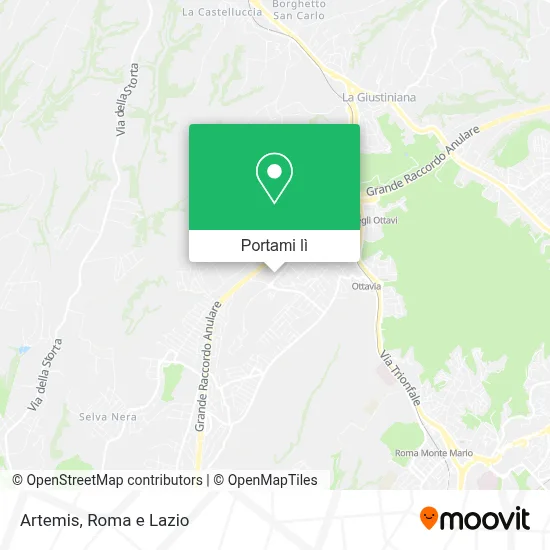Mappa Artemis
