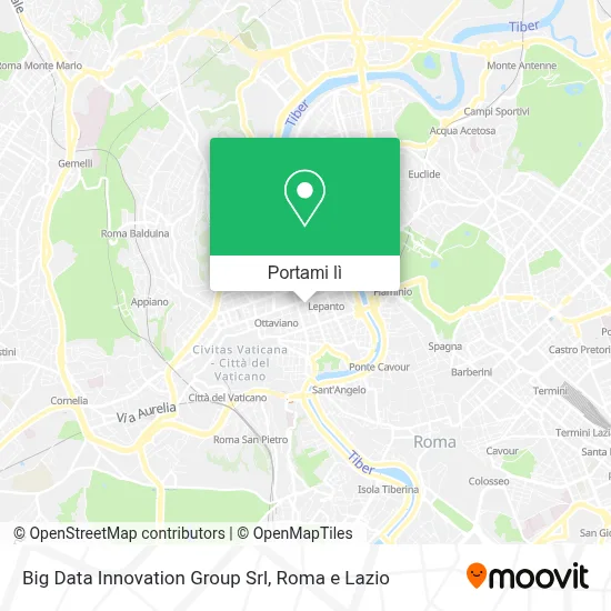 Mappa Big Data Innovation Group Srl