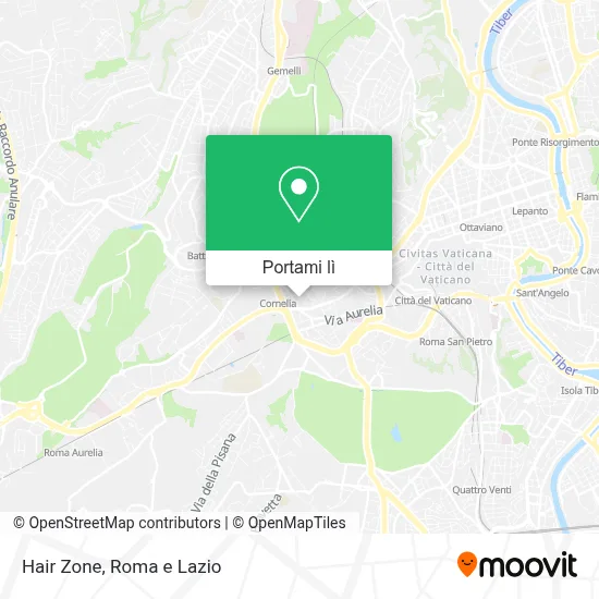 Mappa Hair Zone