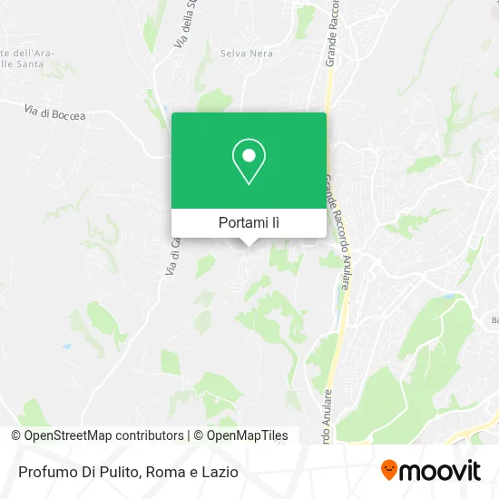 Mappa Profumo Di Pulito