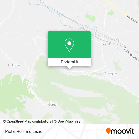 Mappa Picta