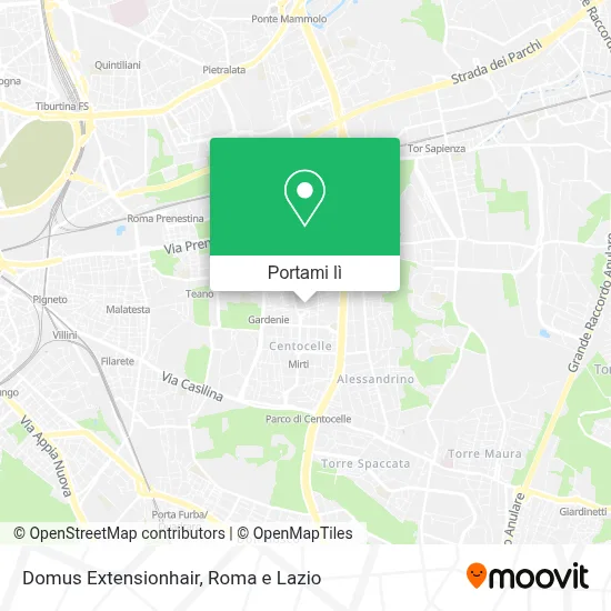 Mappa Domus Extensionhair