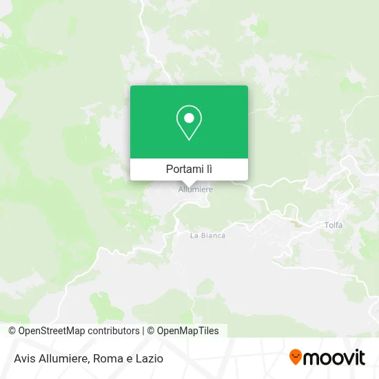 Mappa Avis Allumiere