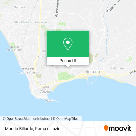 Mappa Mondo Biliardo