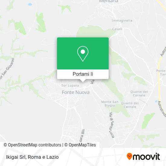 Mappa Ikigai Srl