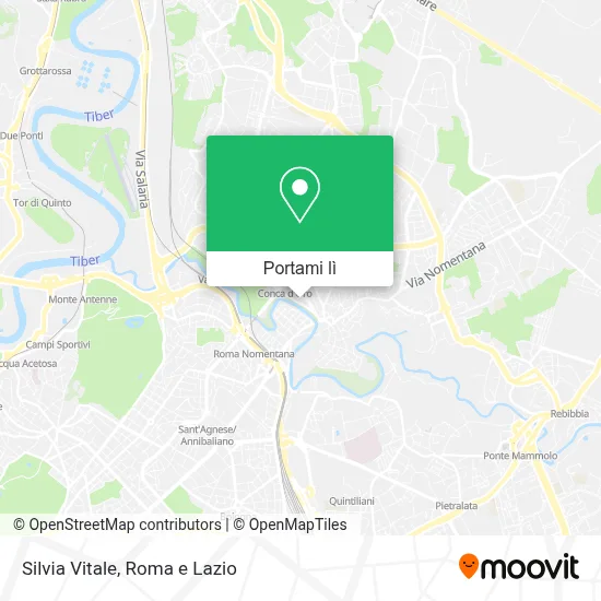 Mappa Silvia Vitale