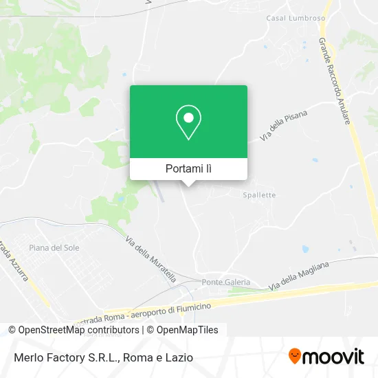 Mappa Merlo Factory S.R.L.
