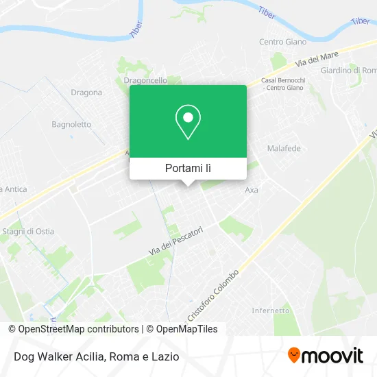 Mappa Dog Walker Acilia