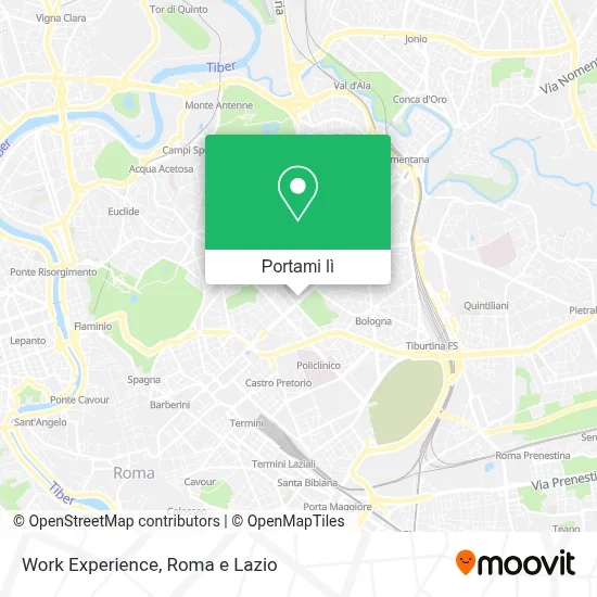 Mappa Work Experience