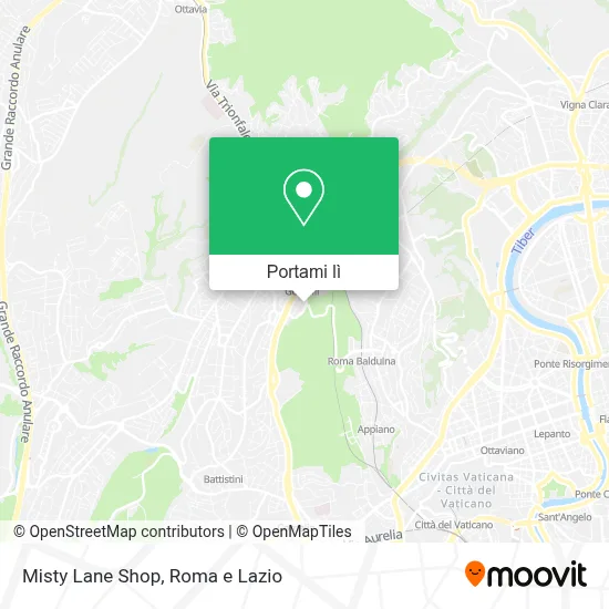 Mappa Misty Lane Shop