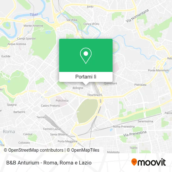 Mappa B&B Anturium - Roma