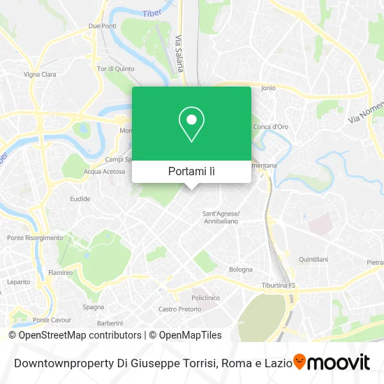 Mappa Downtownproperty Di Giuseppe Torrisi