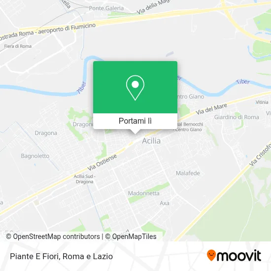 Mappa Piante E Fiori