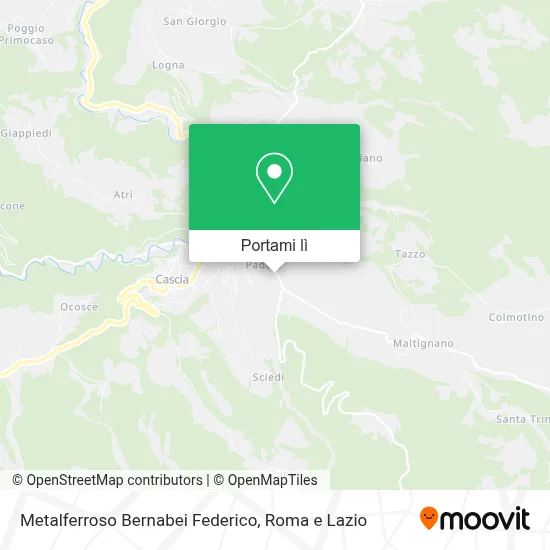 Mappa Metalferroso Bernabei Federico