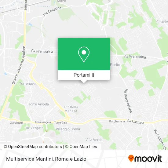 Mappa Multiservice Mantini