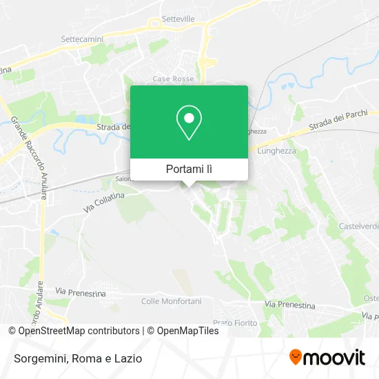Mappa Sorgemini