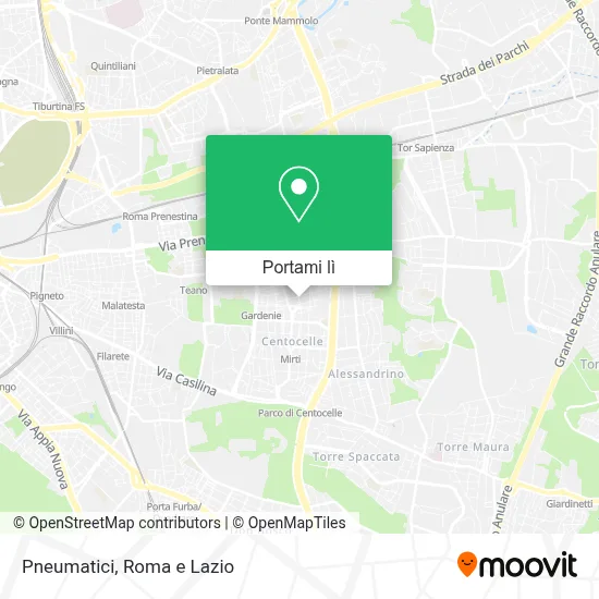 Mappa Pneumatici