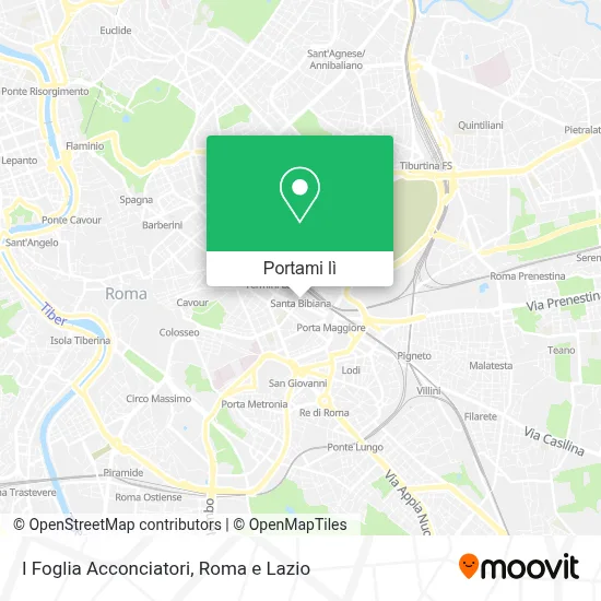 Mappa I Foglia Acconciatori