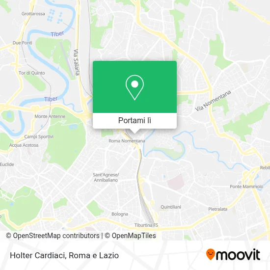 Mappa Holter Cardiaci