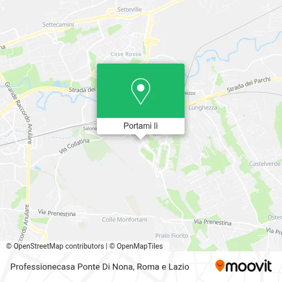 Mappa Professionecasa Ponte Di Nona
