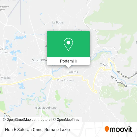 Mappa Non È Solo Un Cane