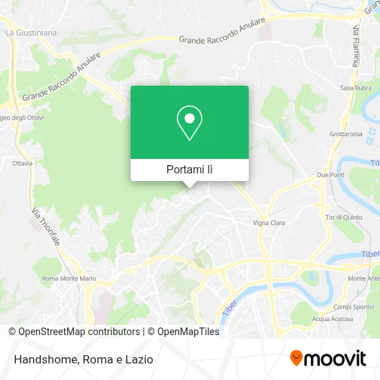 Mappa Handshome