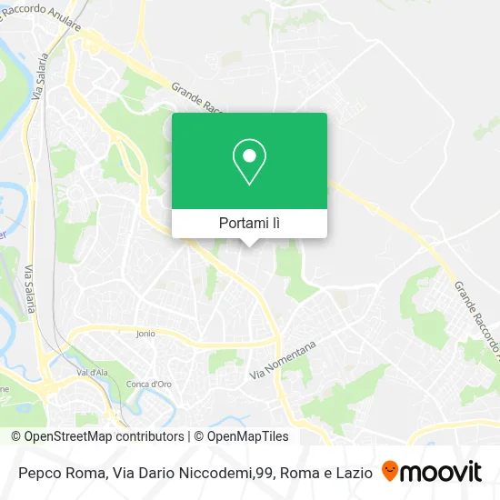 Mappa Pepco Roma, Via Dario Niccodemi,99