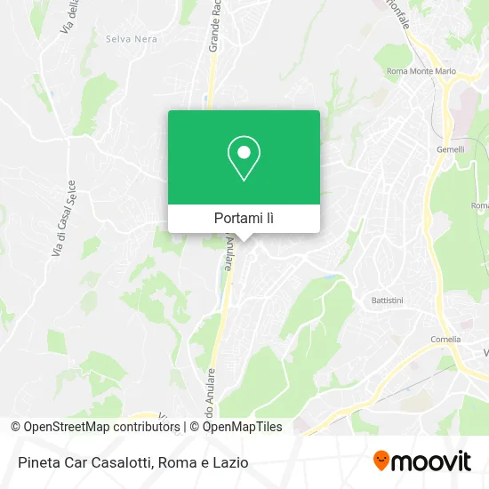 Mappa Pineta Car Casalotti