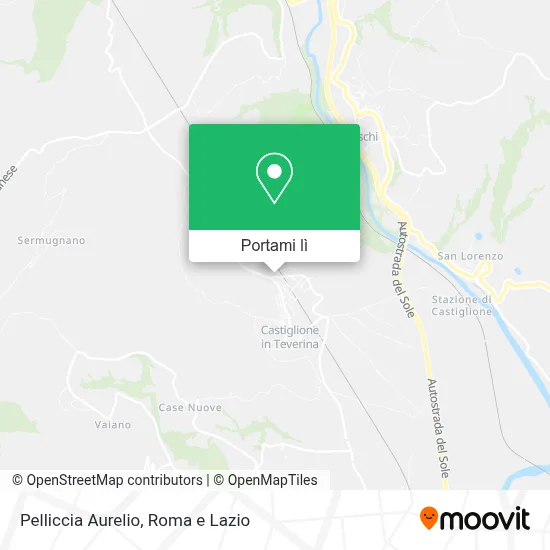 Mappa Pelliccia Aurelio