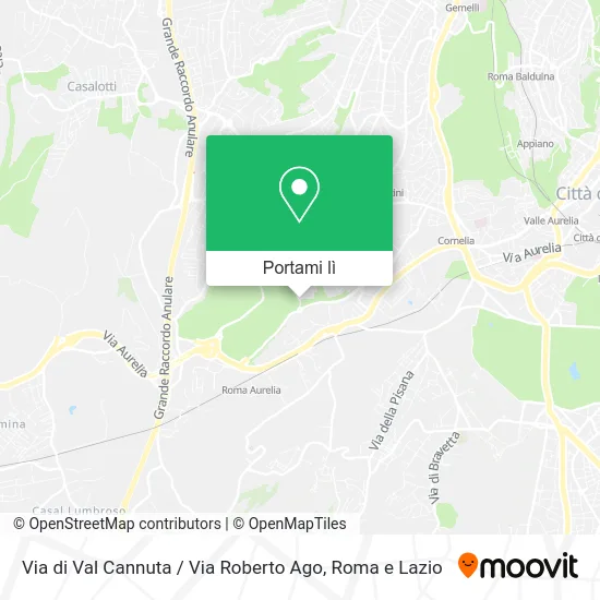 Mappa Via di Val Cannuta / Via Roberto Ago