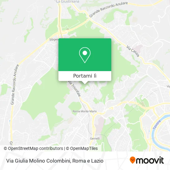 Mappa Via Giulia Molino Colombini