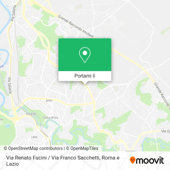 Mappa Via Renato Fucini / Via Franco Sacchetti