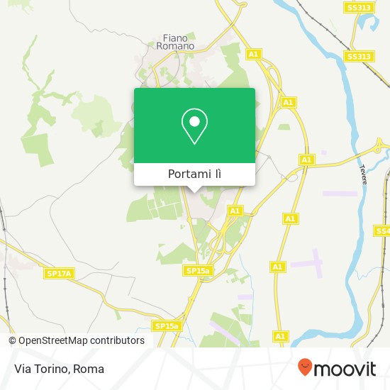 Mappa Via Torino