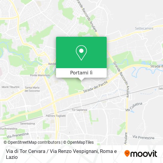 Mappa Via di Tor Cervara / Via Renzo Vespignani