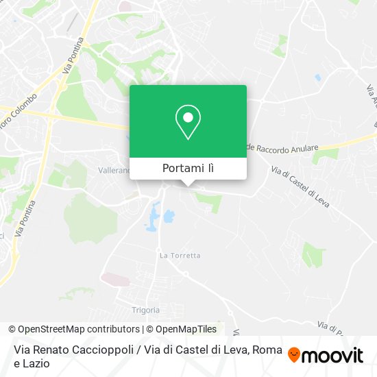 Mappa Via Renato Caccioppoli / Via di Castel di Leva
