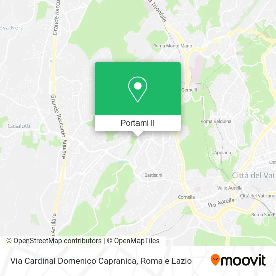 Mappa Via Cardinal Domenico Capranica