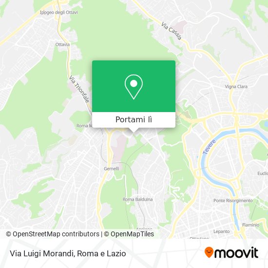 Mappa Via Luigi Morandi