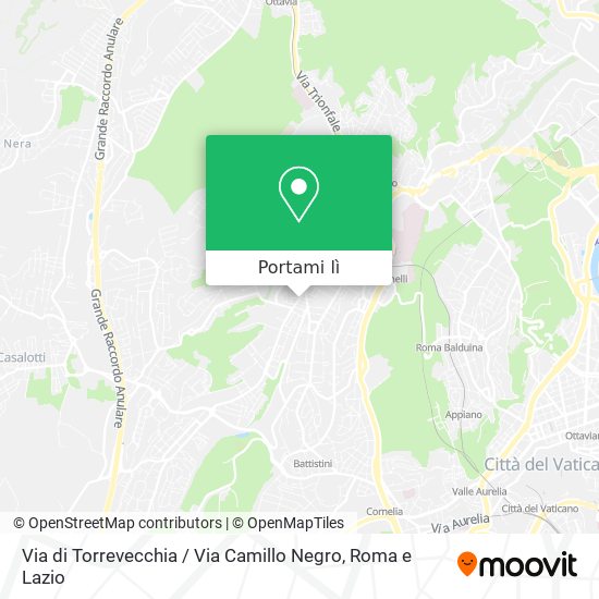 Mappa Via di Torrevecchia / Via Camillo Negro